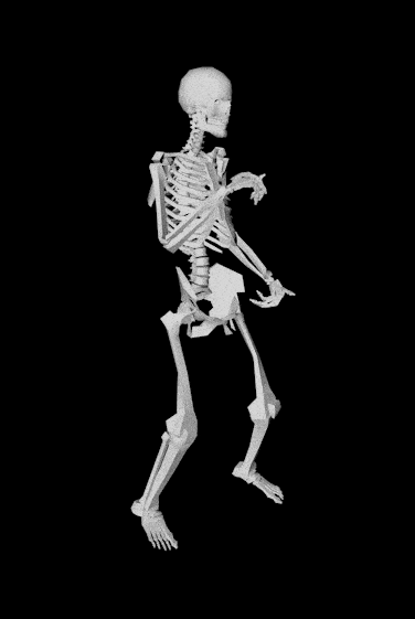 Skelett GIF